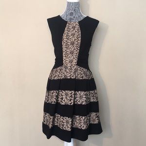 Eva Franco Floral Lace Mini Dress